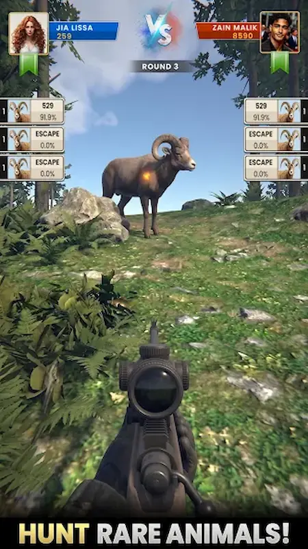 Animal Hunt 