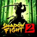Shadow Fight 2